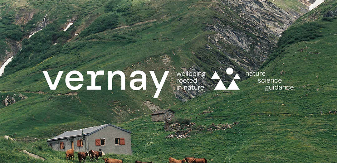 Vernay_web